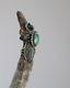 Navajo Ring�åʥХۥ��