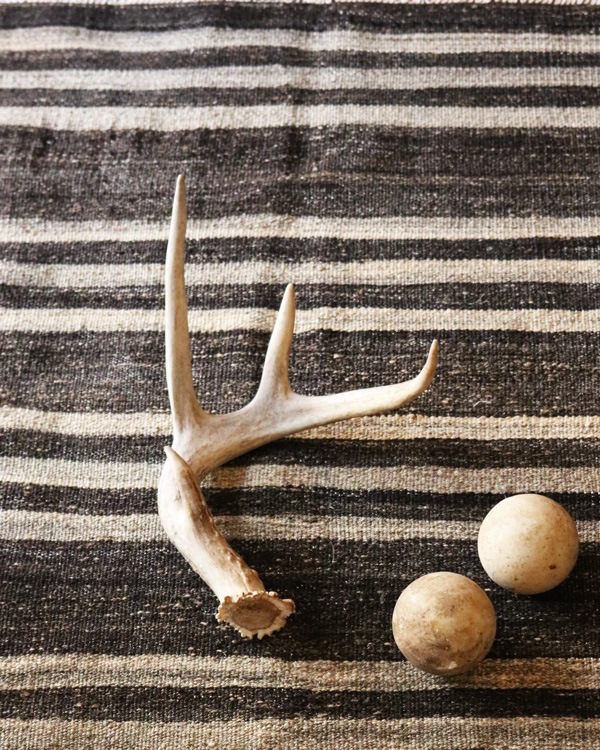 Deer Antler L-No.02üγ L-No.02