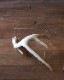 Deer Antler L-No.02üγ L-No.02