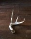 Deer Antler L-No.02üγ L-No.02