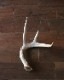 Deer Antler L-No.02üγ L-No.02
