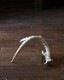 Deer Antler L-No.02üγ L-No.02