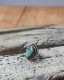 Turquoise Ring A�å������������ A