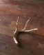 Deer Antler L-No.03�ü��γ� L-No.03