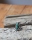 Turquoise Ring B�å������������ B