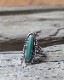Turquoise Ring B�å������������ B