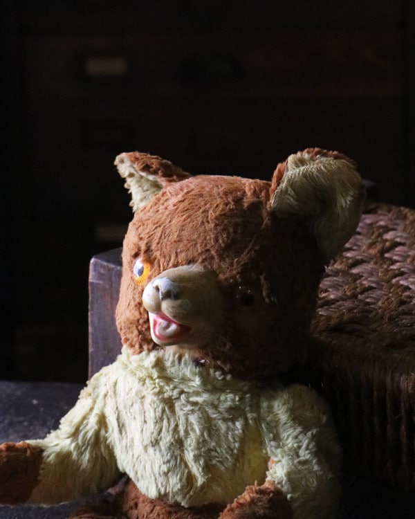 Bear A｜クマのぬいぐるみ A