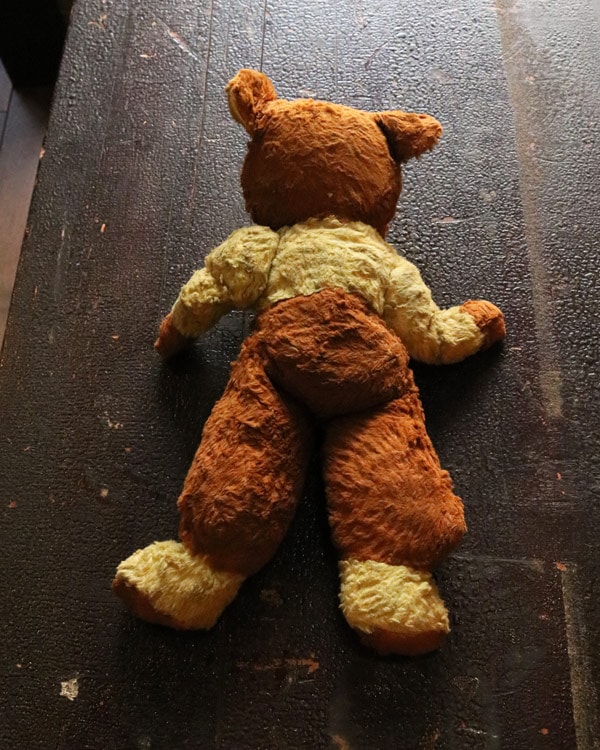 Bear A｜クマのぬいぐるみ A