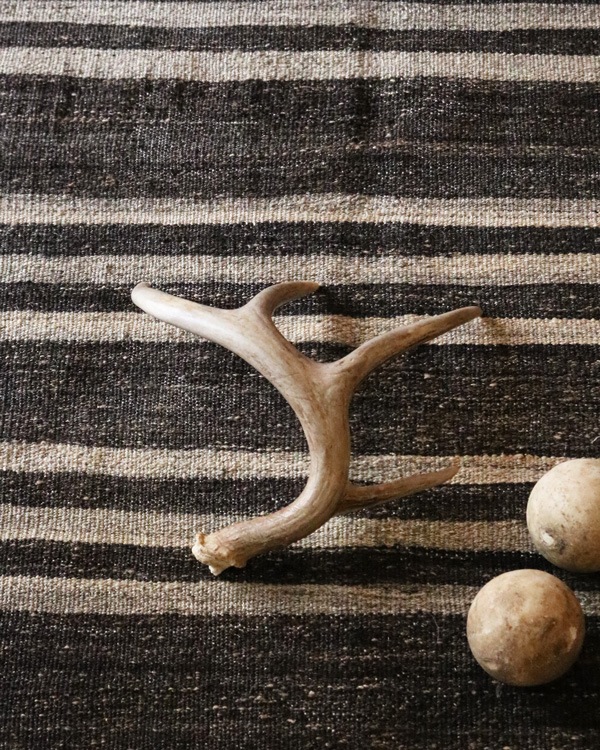 Deer Antler L-No.04�ü��γ� L-No.04