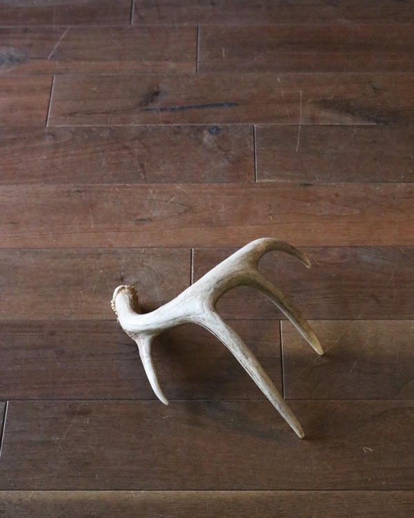 Deer Antler L-No.04�ü��γ� L-No.04