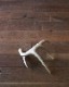 Deer Antler L-No.04�ü��γ� L-No.04