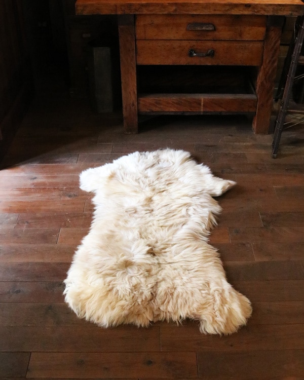 Mouton Sheep A｜羊 ムートン A