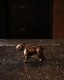 Bulldog Ornament BO-01�å֥�ɥå��Υ����ʥ��� BO-01
