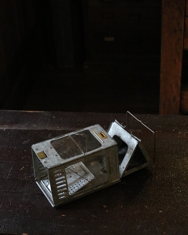 ライト・ランタン STONEBRIDGE FOLDING LANTERN STONEBRIDGE