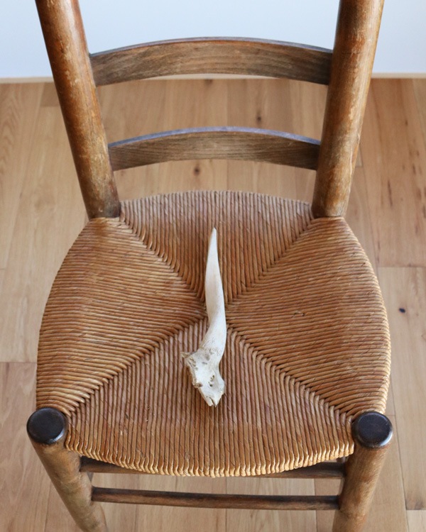 Goat Horn A�û��Ӥγ� A