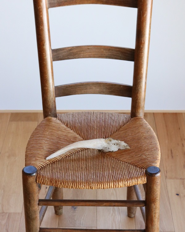 Goat Horn A�û��Ӥγ� A