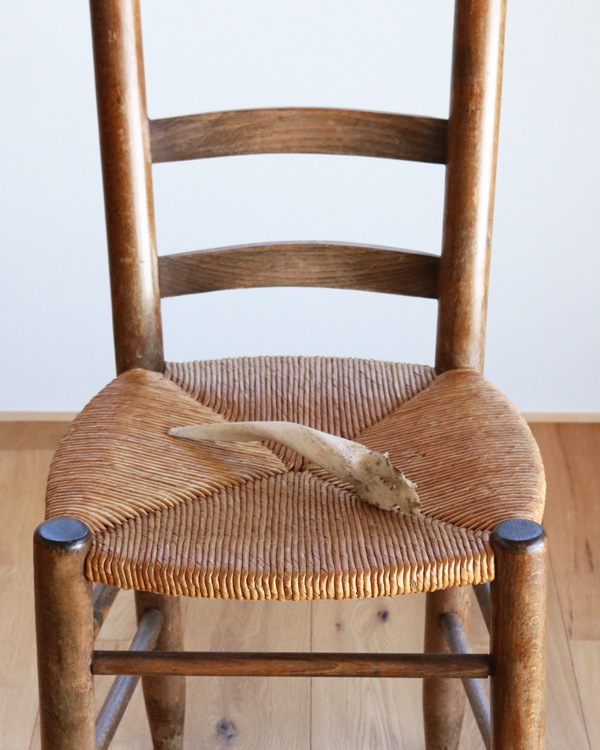 Goat Horn A�û��Ӥγ� A