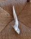 Goat Horn A�û��Ӥγ� A