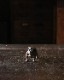 Bulldog Ornament BO-02�å֥�ɥå��Υ����ʥ��� BO-02