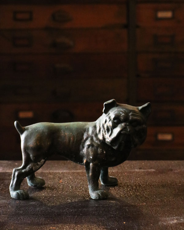 Bulldog Ornament�å֥�ɥå������ʥ���