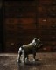 Bulldog Ornament�å֥�ɥå������ʥ���
