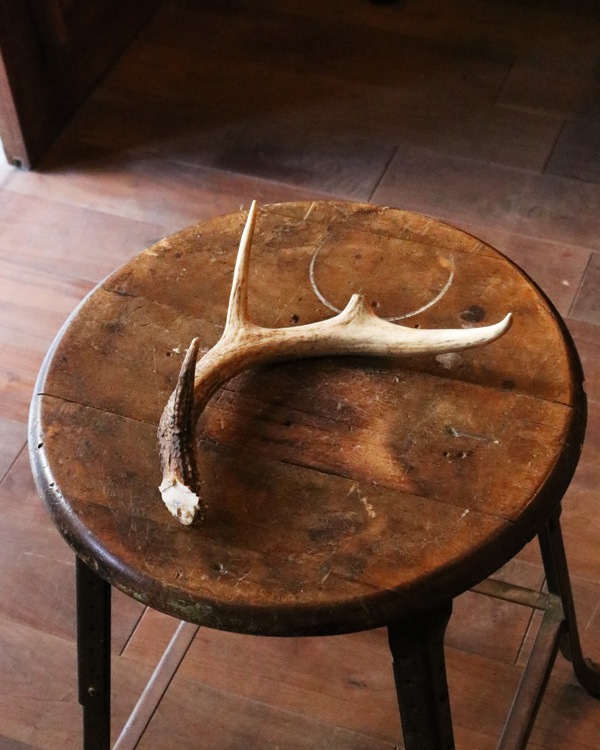 Deer Antler S-No.6�ü��γ� S-No.6