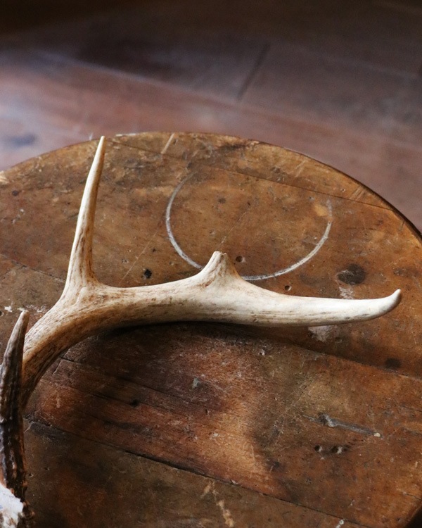 Deer Antler S-No.6�ü��γ� S-No.6