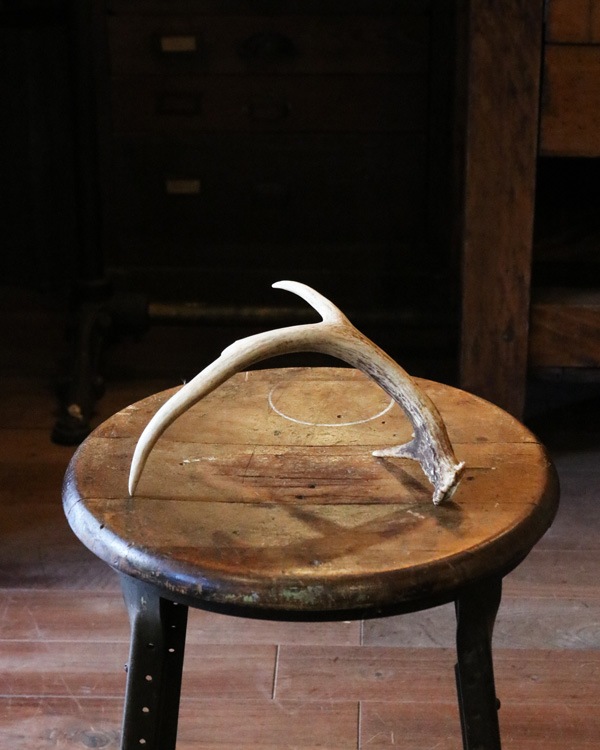 Deer Antler S-No.6�ü��γ� S-No.6