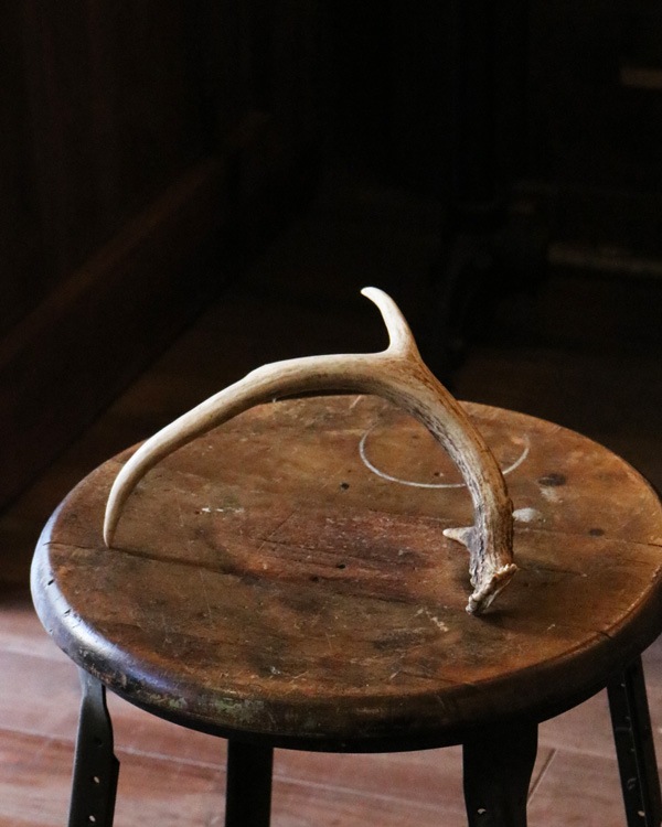 Deer Antler S-No.6�ü��γ� S-No.6