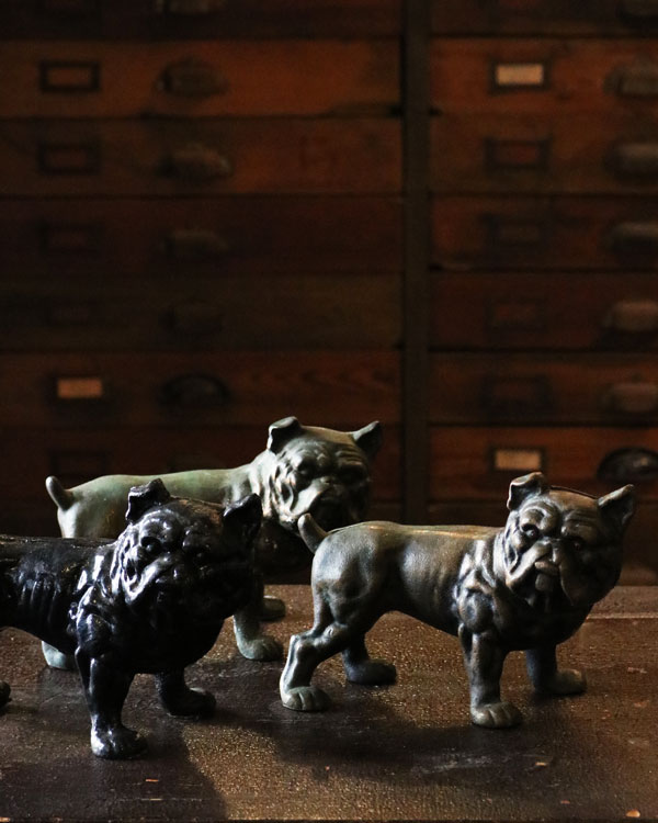 Bulldog Coin Bank�å֥�ɥå�����Ȣ