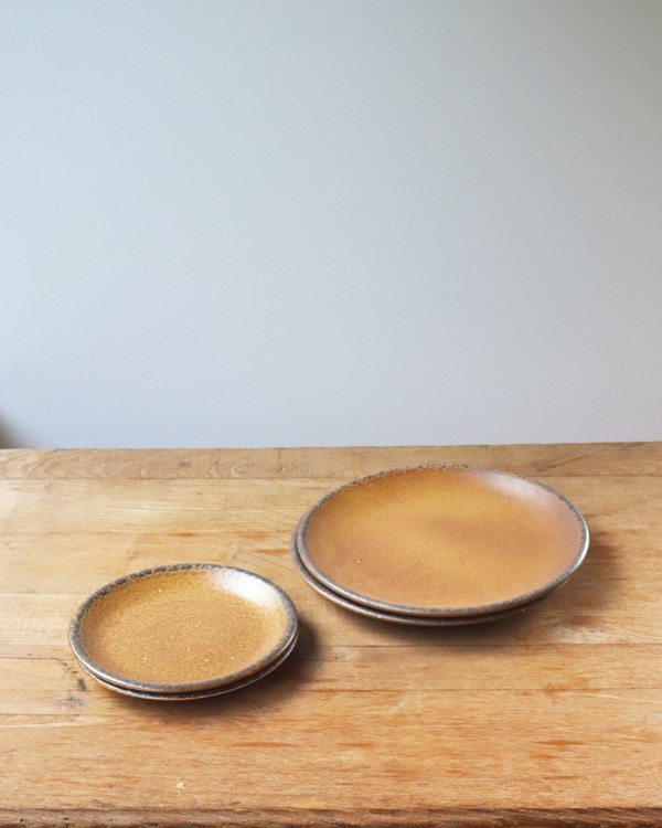 McCoy Canyon Mesa Stoneware Dinner Plate ��McCoy Canyon Mesa ���ȡ��󥦥��� �ǥ��ʡ��ץ졼��