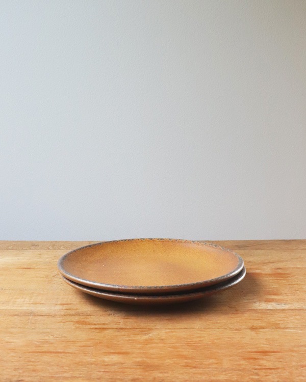 McCoy Canyon Mesa Stoneware Dinner Plate ��McCoy Canyon Mesa ���ȡ��󥦥��� �ǥ��ʡ��ץ졼��