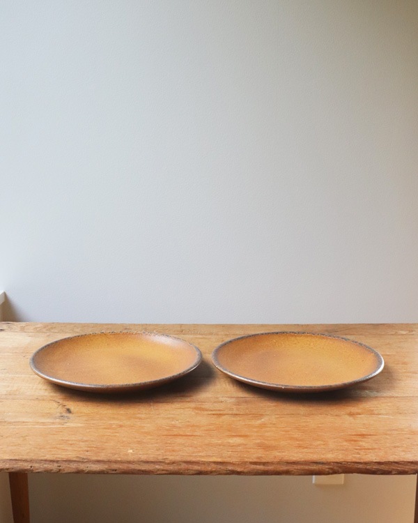 McCoy Canyon Mesa Stoneware Dinner Plate ��McCoy Canyon Mesa ���ȡ��󥦥��� �ǥ��ʡ��ץ졼��