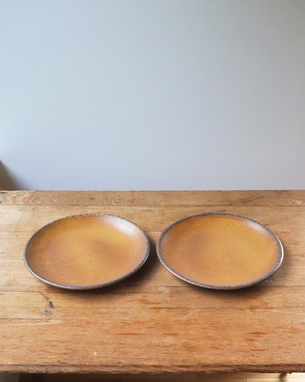 McCoy Canyon Mesa Stoneware Dinner Plate ��McCoy Canyon Mesa ���ȡ��󥦥��� �ǥ��ʡ��ץ졼��