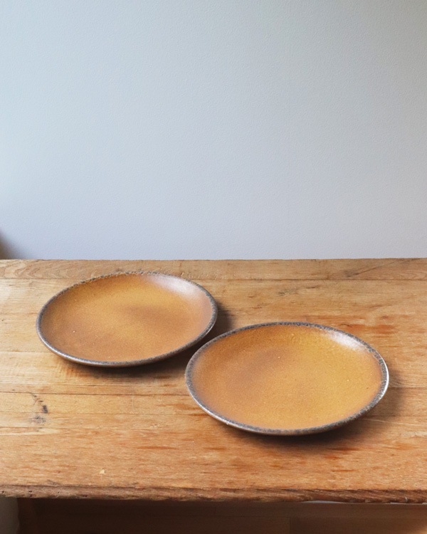 McCoy Canyon Mesa Stoneware Dinner Plate ��McCoy Canyon Mesa ���ȡ��󥦥��� �ǥ��ʡ��ץ졼��