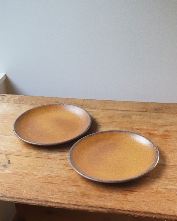 McCoy Canyon Mesa Stoneware Dinner Plate ��McCoy Canyon Mesa ���ȡ��󥦥��� �ǥ��ʡ��ץ졼��