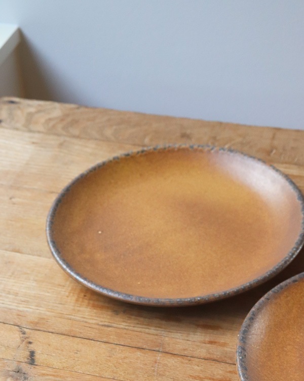 McCoy Canyon Mesa Stoneware Dinner Plate ��McCoy Canyon Mesa ���ȡ��󥦥��� �ǥ��ʡ��ץ졼��