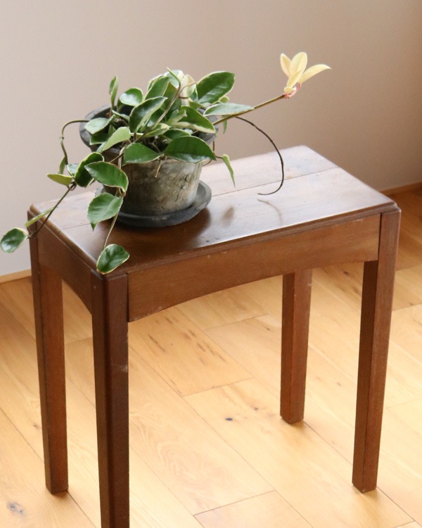 Organ Chair�å��륬�������