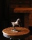 Horse Coin Bank�åۡ��� ������Х�