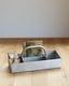 Mid-Century Industrial Sample Carrier�åߥåɥ������꡼ ��������ȥꥢ�륵��ץ륭��ꥢ
