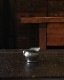 Pewter Creamer| �ԥ塼���������꡼�ޡ�