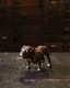 Chalk Ware Bulldog�å֥�ɥå������ʥ��� ���硼��������