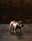 Chalk Ware Bulldog�å֥�ɥå������ʥ��� ���硼��������