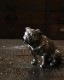 Bulldog Ornament Silver�å֥�ɥå������ʥ��� ����С�