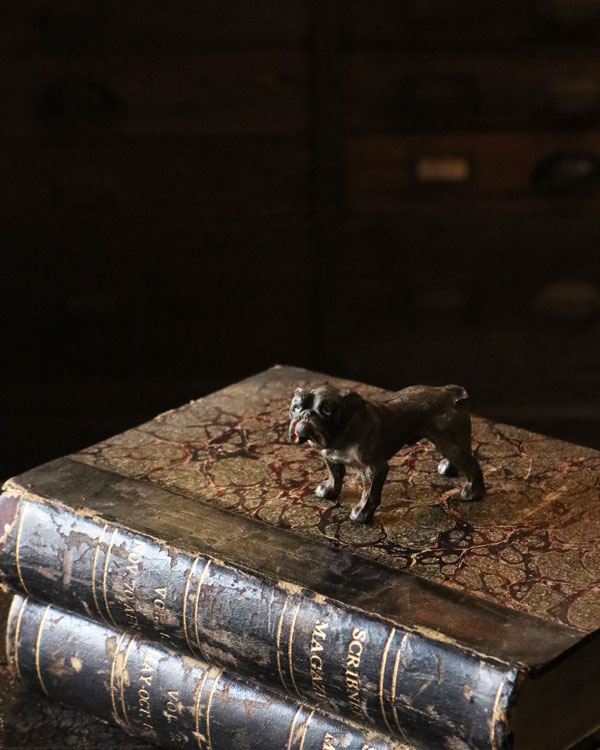 Bulldog Ornament A�å֥�ɥå������ʥ��� A��