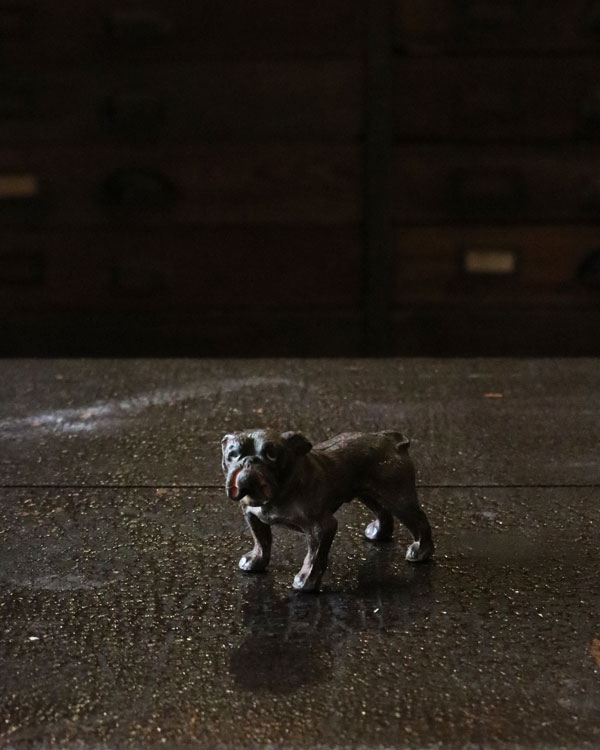 Bulldog Ornament A�å֥�ɥå������ʥ��� A��