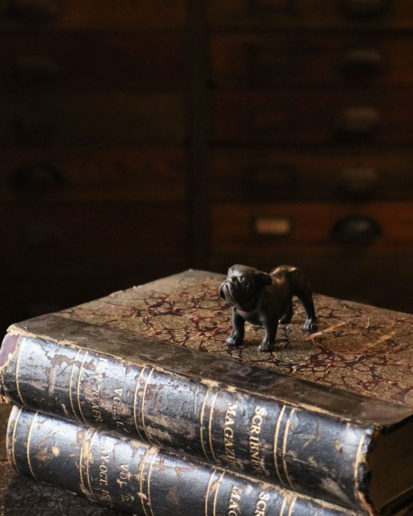 Bulldog Ornament C�å֥�ɥå������ʥ��� C