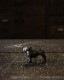 Bulldog Ornament C�å֥�ɥå������ʥ��� C