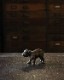 Bulldog Ornament B�å֥�ɥå��Υ����ʥ��� B
