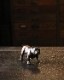 Bulldog Ornament B�å֥�ɥå��Υ����ʥ��� B
